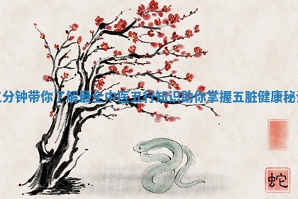五分钟 🦧 带你了解最全中医五行知识助你掌握五脏健 🚑 康秘诀