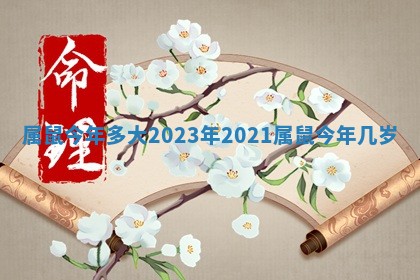 😖 属鼠 🧥 今年多大2023年_2021属鼠今年几岁
