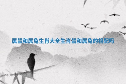 属鼠和属兔生肖大 👲 全_生 🤥 肖鼠和属兔的相配吗