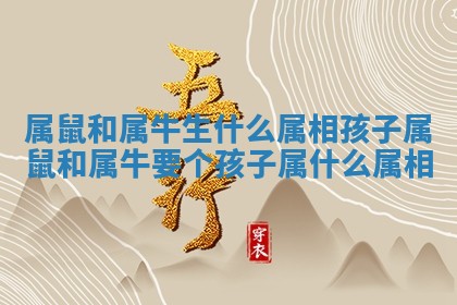 属鼠和属牛生什么属相孩子_属鼠 💾 和属牛要个 🍶 孩子属什么属相